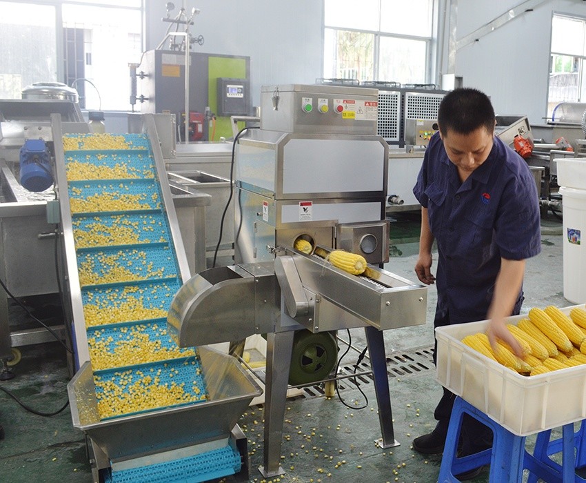 凤翔MZ-368工业鲜甜玉米脱壳加工机