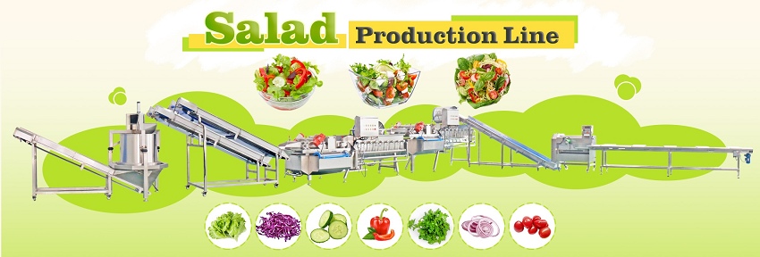 leafy vegetable salad washing processing line 叶类蔬菜沙拉清洗加工线
