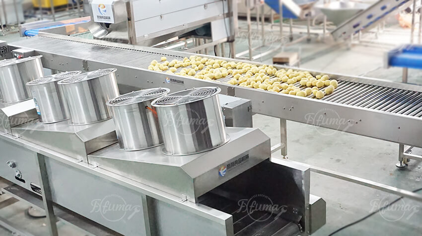 potato drying machine 马铃薯烘干机