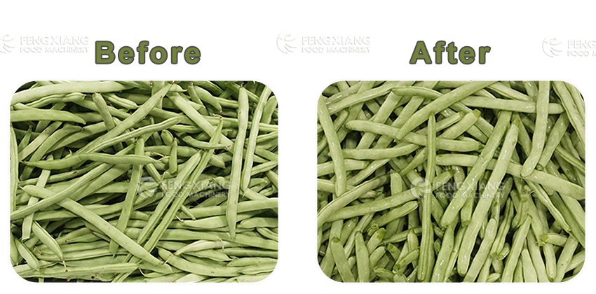 Green bean cutter 绿豆切割机