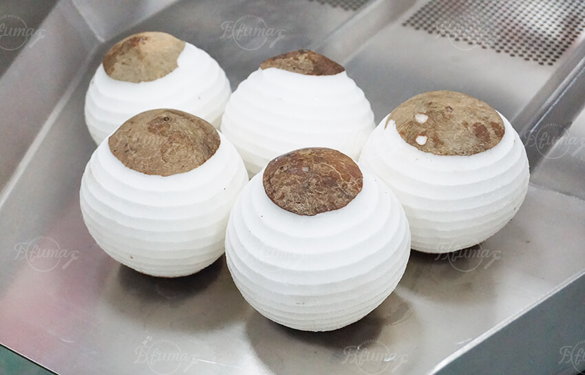 adjustable cutting depth system for coconut peeling machine 椰子剥皮机的可调切割深度系统