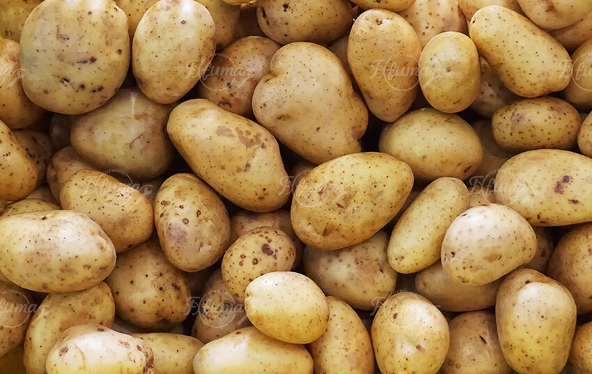 potato washing line 马铃薯清洗线