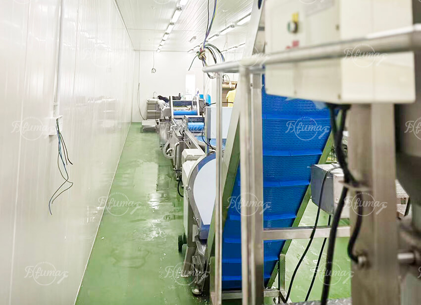 pandan processing machine installation 班兰加工机安装