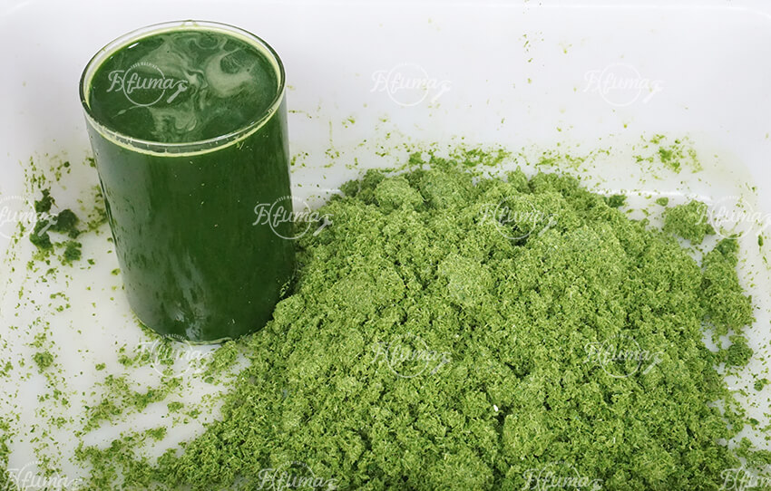 pandan processing equipment operation demonstration 班兰加工设备操作演示