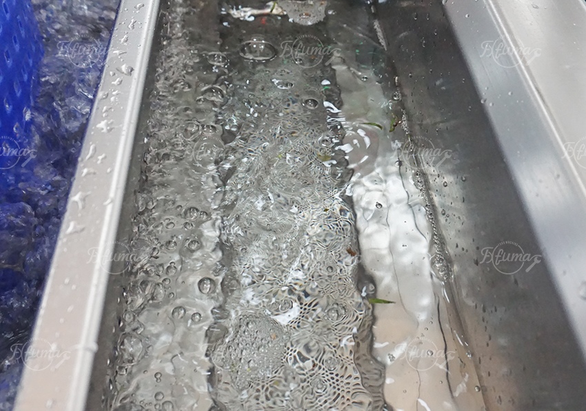 fruit and vegetable washing machine with filtration tank 带过滤槽的果蔬清洗机