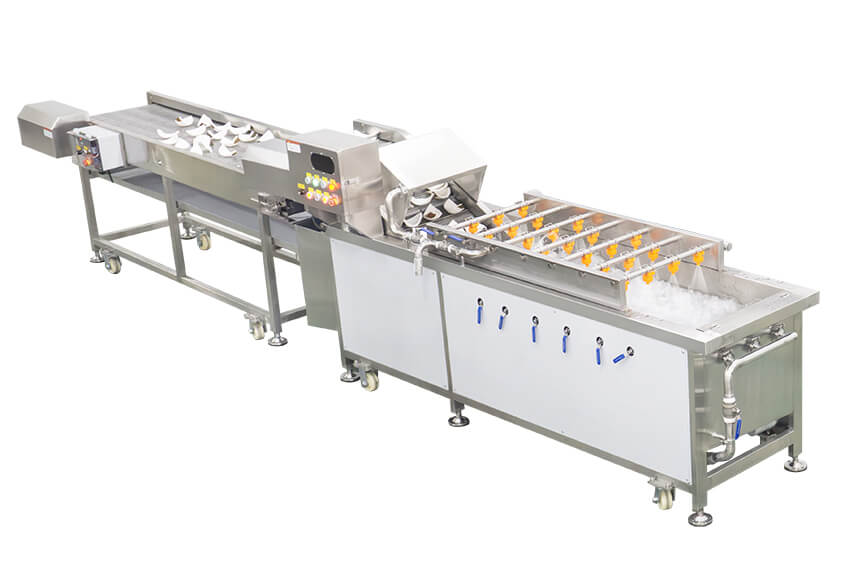 bubble washing system for leafy vegetables cleaning line 叶类蔬菜清洗线气泡清洗系统