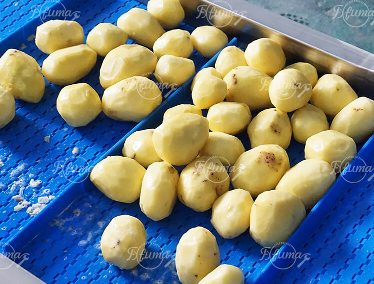 potato washing peeling machine 土豆清洗去皮机