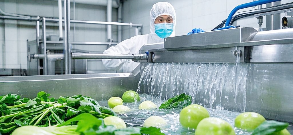 工业果蔬清洗机：工作原理及清洗技术讲解