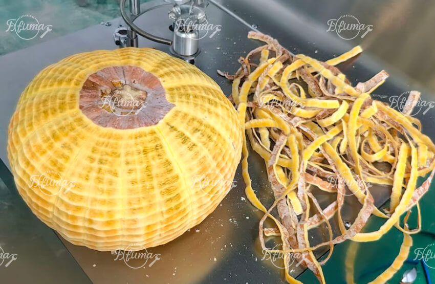 全自动扁南瓜削皮机_碟形磨盘南瓜仿形去皮设备-福马食品机械