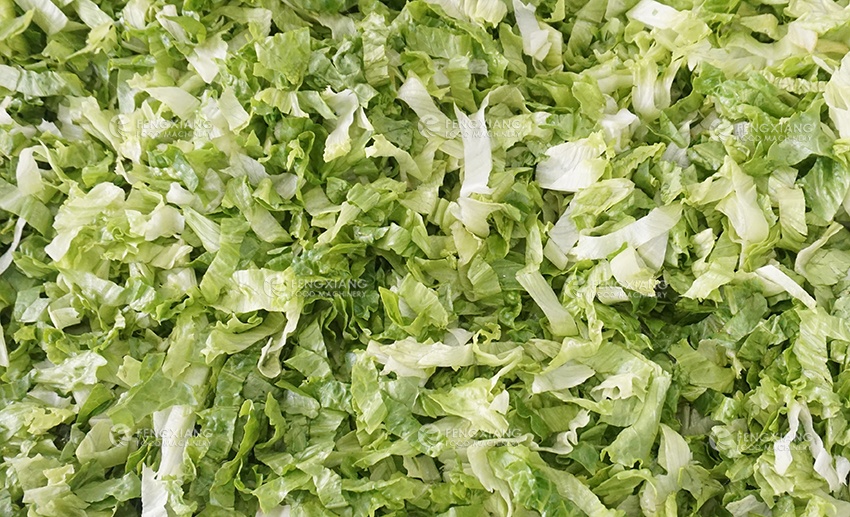 蔬菜沙拉生产切割清洗干燥脱水生产线