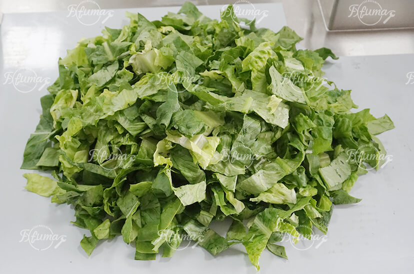 叶菜清洗脱水一体化加工系统提升食品加工效率与卫生标准