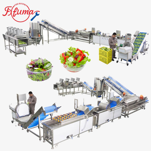 叶菜沙拉加工生产线：切割+清洗+脱水+风干一体化解决方案
