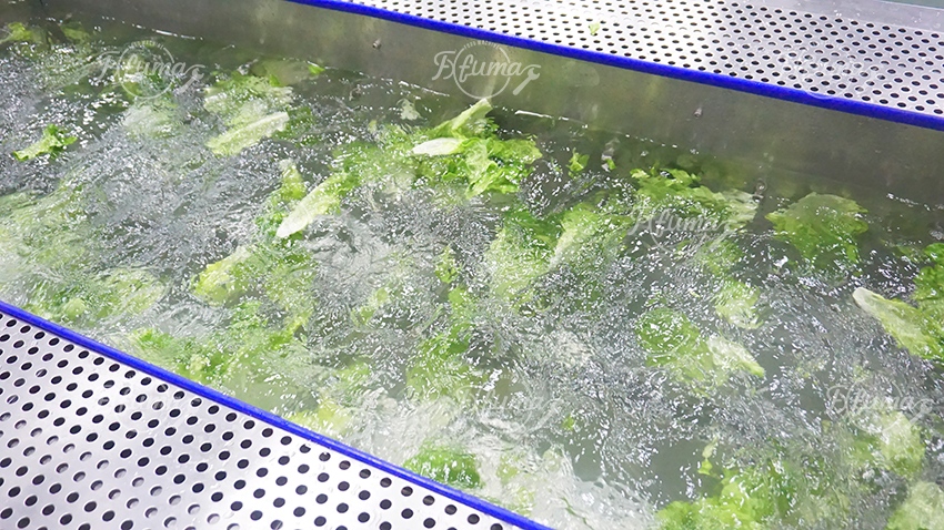 沙拉清洗机