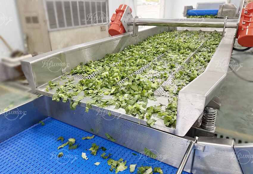 振动沥水设备快速去除叶菜表面水分
