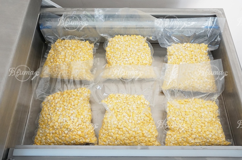 DZ-600全自动食品水果蔬菜真空包装封口机