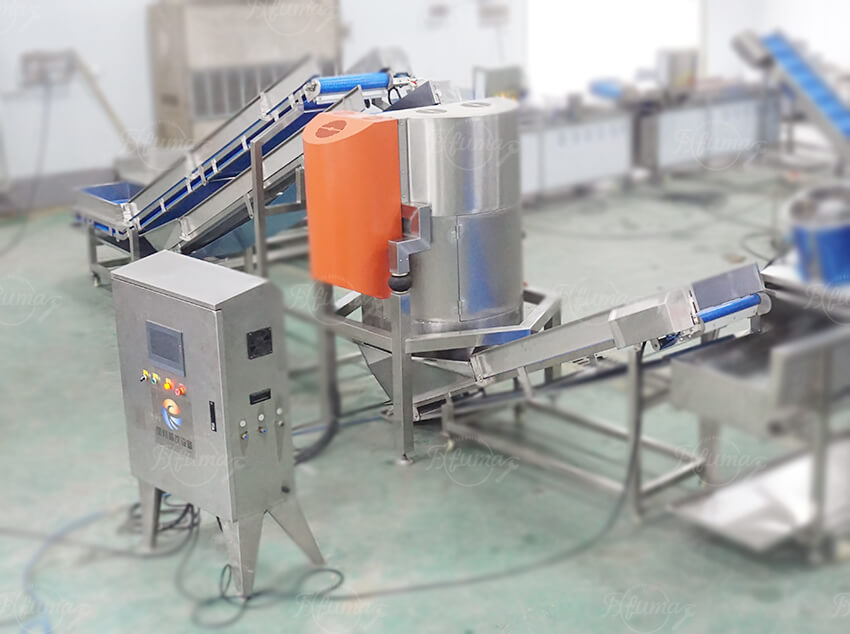 叶菜沙拉加工生产线：切割+清洗+脱水+风干一体化解决方案