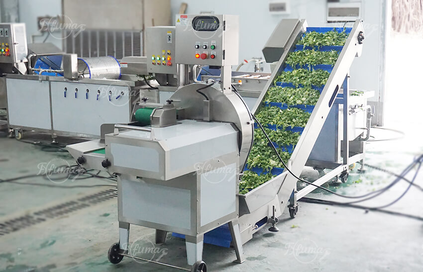 叶菜沙拉加工生产线：切割+清洗+脱水+风干一体化解决方案