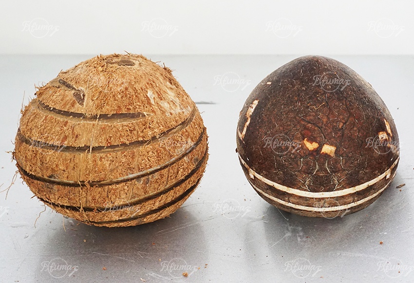 全自动椰子脱壳脱壳机