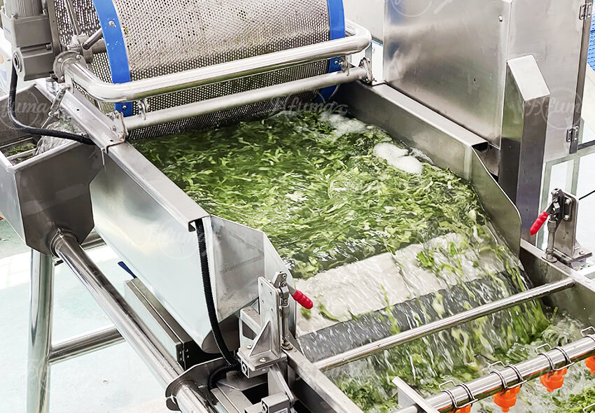 连续式鲜净菜沙拉加工生产线 叶菜净菜清洗脱水设备 福马食品机械