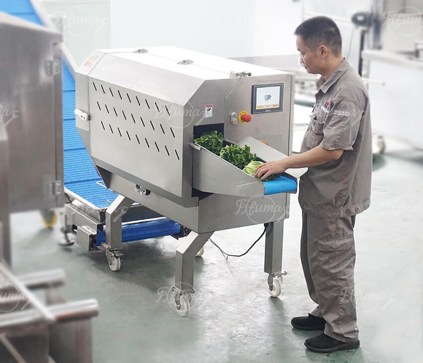 连续式鲜净菜沙拉加工生产线 叶菜净菜清洗脱水设备 福马食品机械