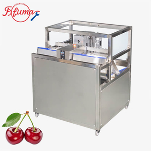 用于工业水果加工的樱桃去核机
